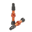 Stans No Tubes Tubeless Valves