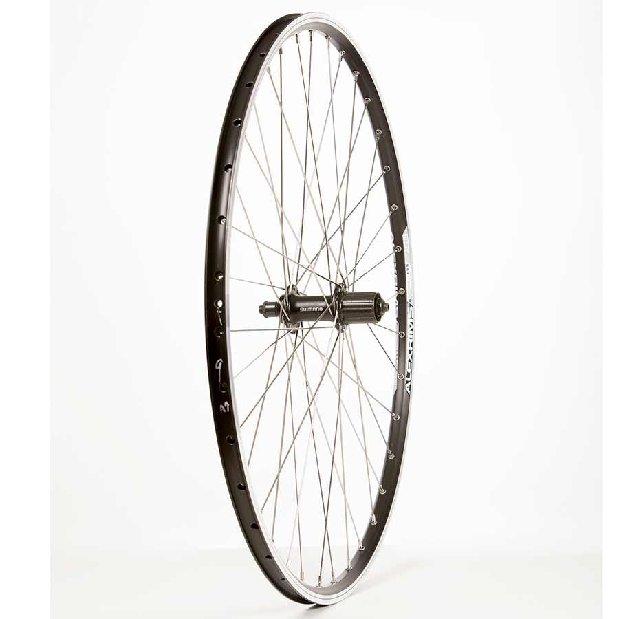 Wheel Shop Alex Ace19 Black/Sapim Leader 700C – Bike Ahead