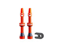 CushCore Alloy Tubeless Presta Valves