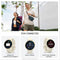 LM-IMAGE-125997806-