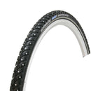 Schwalbe Marathon Winter Plus