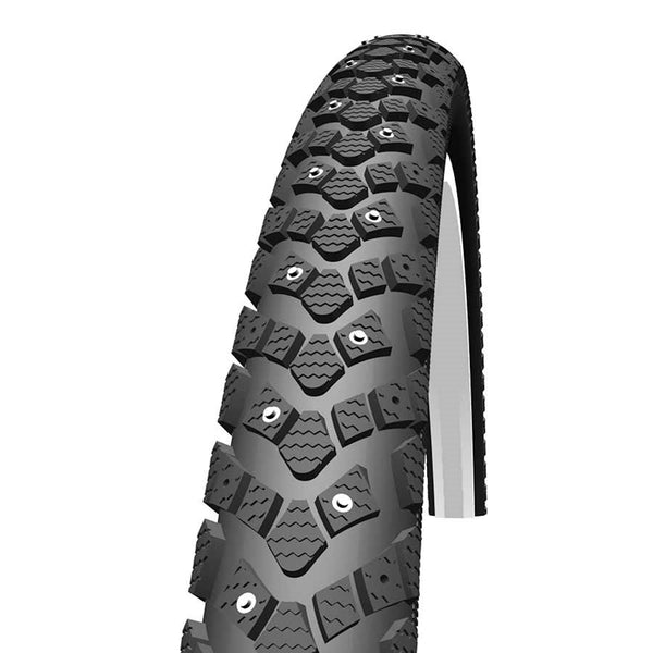 Schwalbe Winter