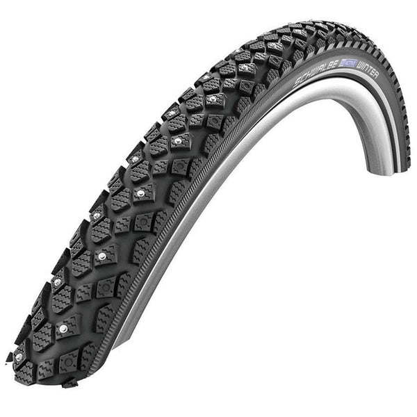 Schwalbe Winter