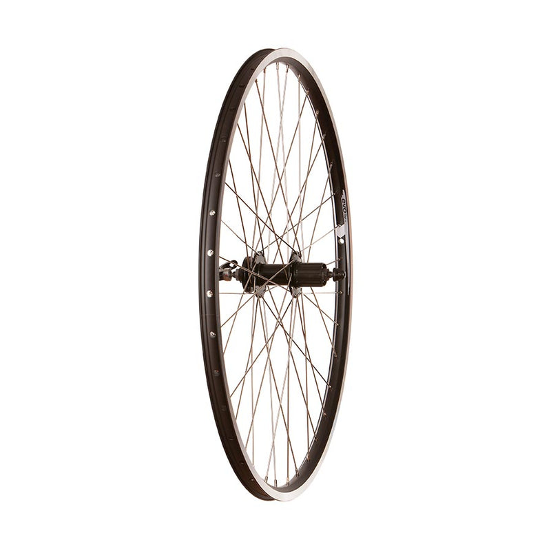 Wheel Shop Evo Tour 19 Blk QR Rim and Disc 700C/29"